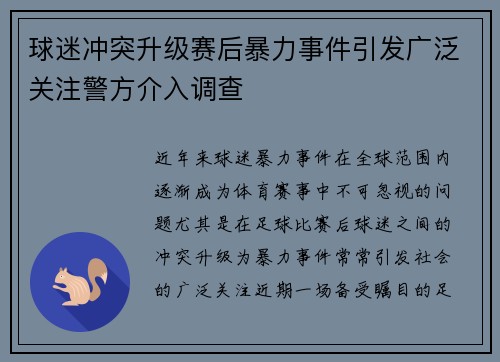 球迷冲突升级赛后暴力事件引发广泛关注警方介入调查