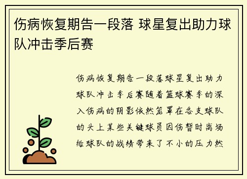 伤病恢复期告一段落 球星复出助力球队冲击季后赛